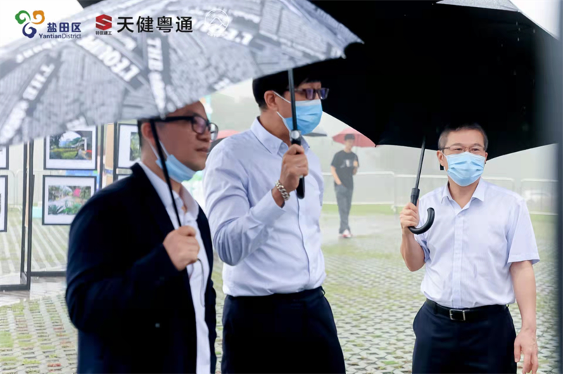 图片 6.png