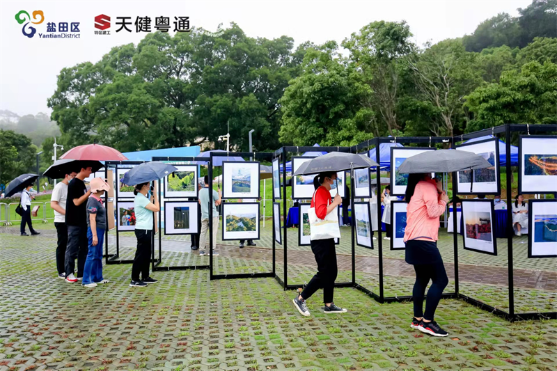 图片 8.png