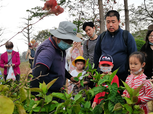 下午活动 (2).jpg