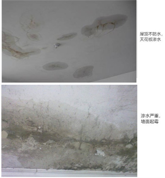 图片1_副本_副本.jpg