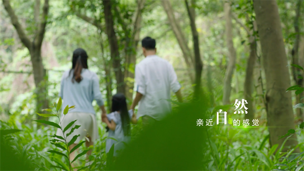 图片 23.png